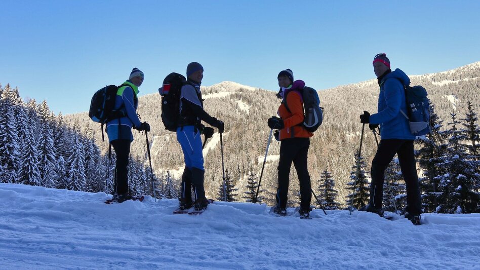 Snowshoe walking Snowshoe hike Rosenkogel - Touren-Impression #2.5 | © Weges OG