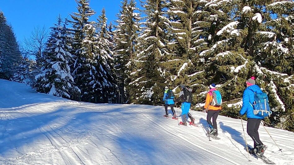 Snowshoe walking Snowshoe hike Rosenkogel - Touren-Impression #2.6 | © Weges OG
