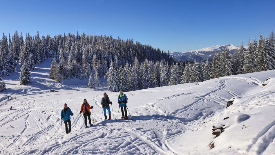 Snowshoe walking Snowshoe hike Rosenkogel - Touren-Impression #2.8 | © Weges OG