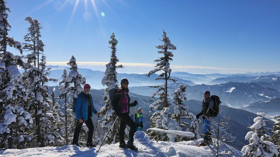 Snowshoe walking Snowshoe hike Rosenkogel - Touren-Impression #2.9 | © Weges OG