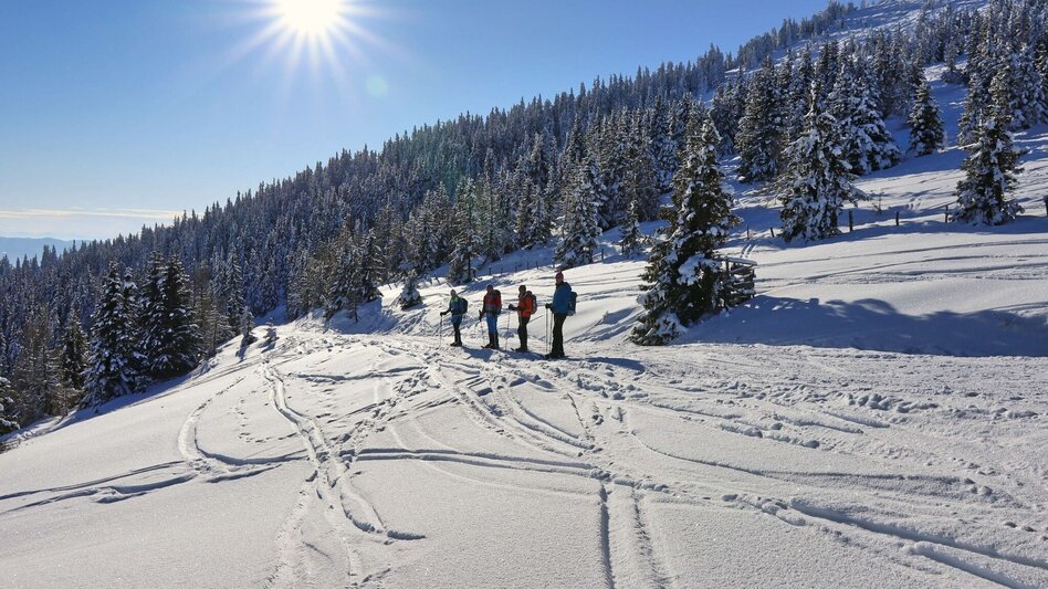 Snowshoe walking Snowshoe hike Rosenkogel - Touren-Impression #2.12 | © Weges OG
