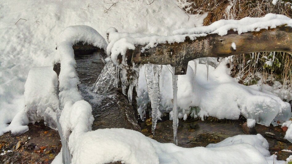 Snowshoe walking Snowshoe tour Hohe Ranach - Touren-Impression #2.2 | © Weges OG