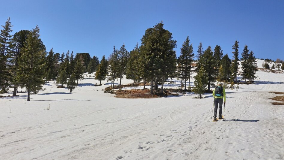 Snowshoe walking Snowshoe tour Hohe Ranach - Touren-Impression #2.3 | © Weges OG