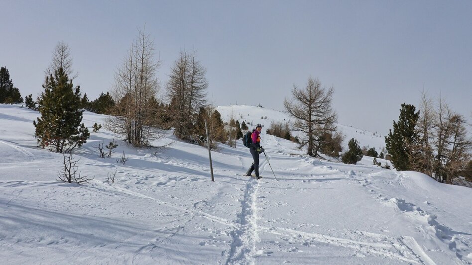 Snowshoe walking Snowshoe tour Hohe Ranach - Touren-Impression #2.4 | © Weges OG