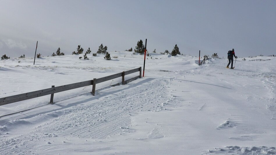 Snowshoe walking Snowshoe tour Hohe Ranach - Touren-Impression #2.7 | © Weges OG