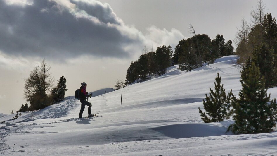 Snowshoe walking Snowshoe tour Hohe Ranach - Touren-Impression #2.8 | © Weges OG