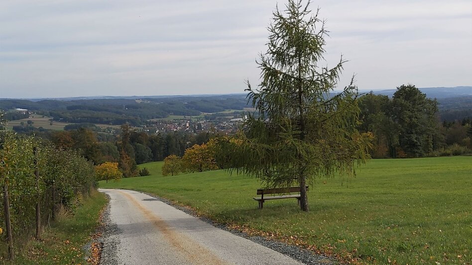 Bike Riding 3 Castles Tour in the Hartberg country - Touren-Impression #2.4 | © Oststeiermark Tourismus