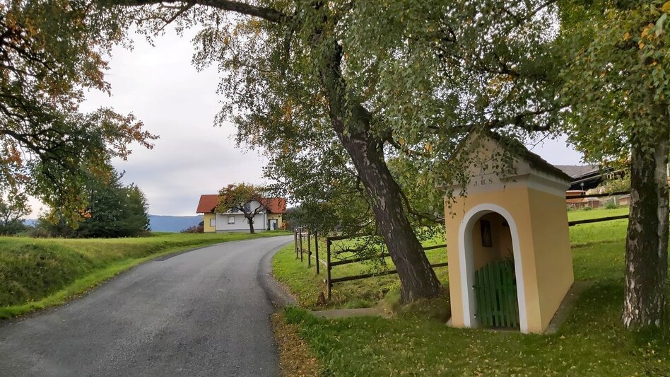 Bike Riding 3 Castles Tour in the Hartberg country - Touren-Impression #2.9 | © Oststeiermark Tourismus