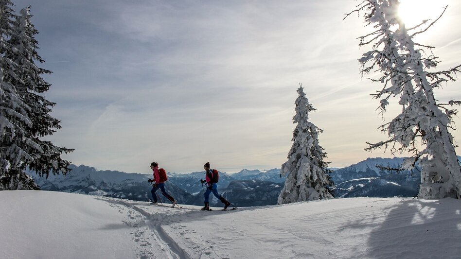 Ski Touring Ski tour to the Almkogel - Touren-Impression #2.1 | © Tourismusverband Ausseerland Salzkammergut