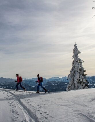 Skitour Tauplitzalm | Berghasen | © Tourismusverband Ausseerland Salzkammergut