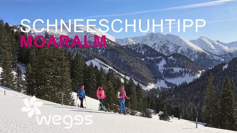 Snowshoe walking Moaralm - marked snowshoe trail in the Triebental valley - Touren-Impression #2.10 | © wegesaktiv