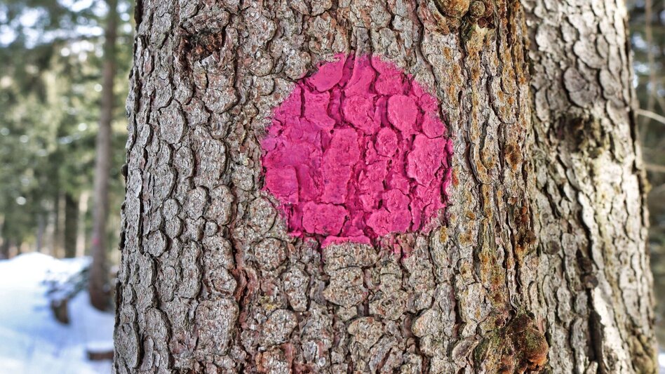 Snowshoe walking Moaralm - marked snowshoe trail in the Triebental valley - Touren-Impression #2.4 | © Weges OG