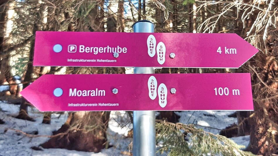 Snowshoe walking Moaralm - marked snowshoe trail in the Triebental valley - Touren-Impression #2.6 | © Weges OG