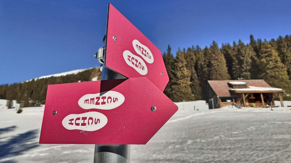 Snowshoe walking Moaralm - marked snowshoe trail in the Triebental valley - Touren-Impression #2.7 | © Weges OG