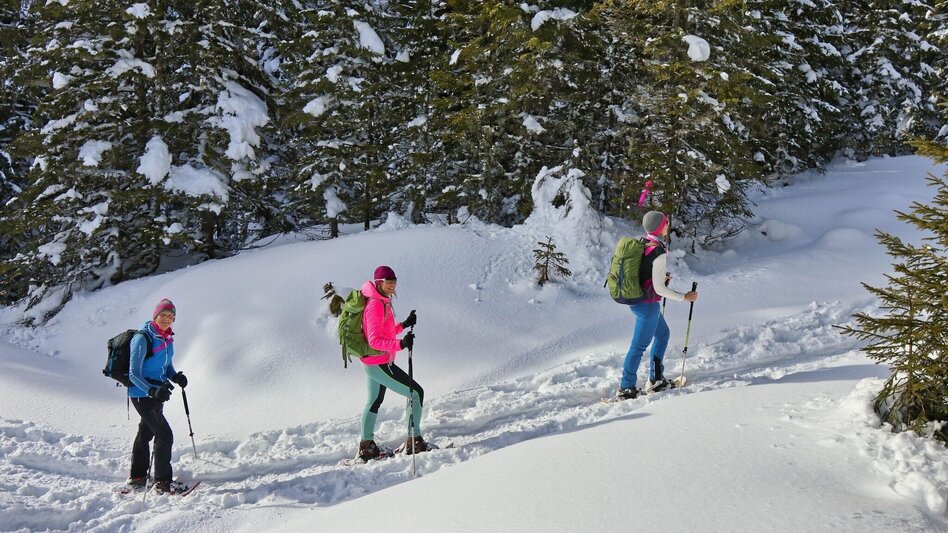 Snowshoe walking Moaralm - marked snowshoe trail in the Triebental valley - Touren-Impression #2.5 | © Weges OG