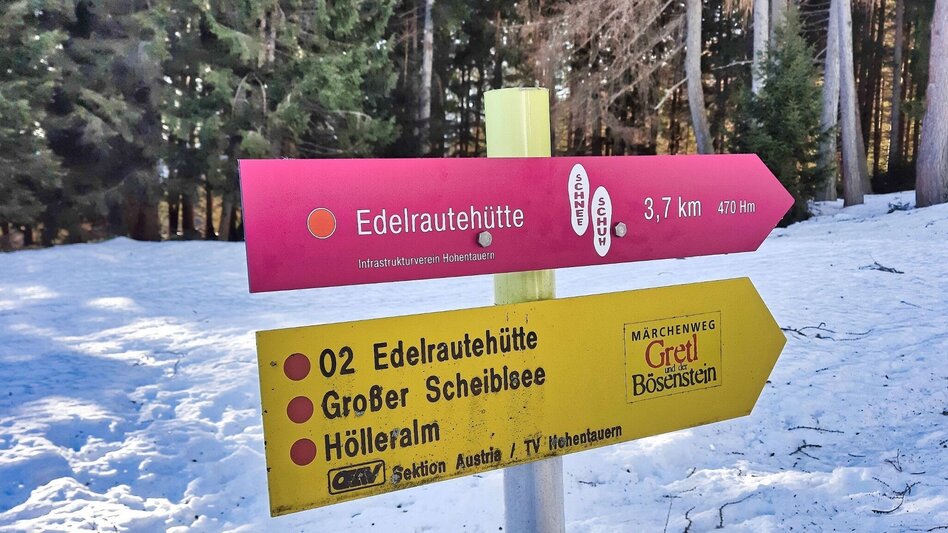 Snowshoe walking Edelrautehütte - marked snowshoe trail in Hohentauern - Touren-Impression #2.3 | © Weges OG