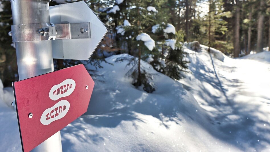 Snowshoe walking Edelrautehütte - marked snowshoe trail in Hohentauern - Touren-Impression #2.8 | © Weges OG
