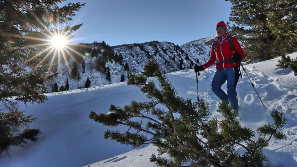 Snowshoe walking Edelrautehütte - marked snowshoe trail in Hohentauern - Touren-Impression #2.12 | © Weges OG