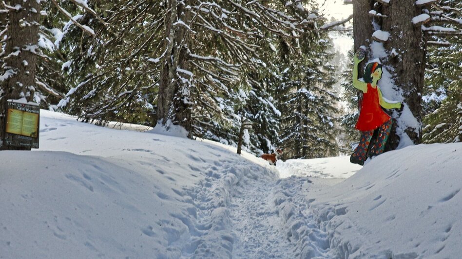 Snowshoe walking Edelrautehütte - marked snowshoe trail in Hohentauern - Touren-Impression #2.2 | © Weges OG