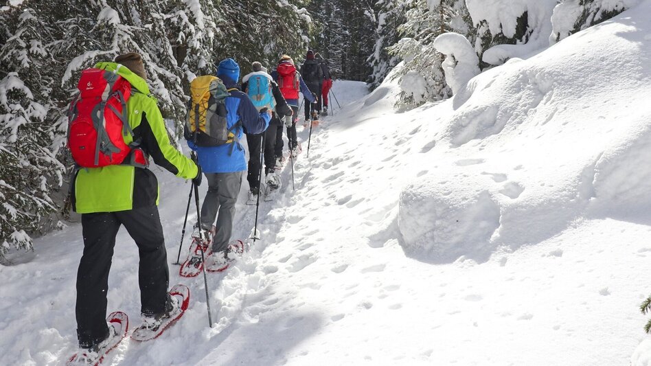 Snowshoe walking Edelrautehütte - marked snowshoe trail in Hohentauern - Touren-Impression #2.5 | © Weges OG
