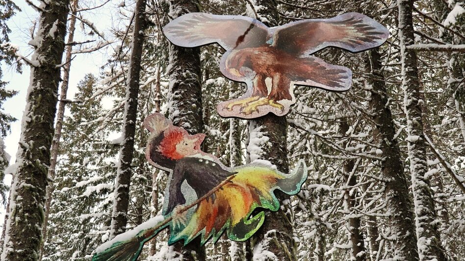 Snowshoe walking Edelrautehütte - marked snowshoe trail in Hohentauern - Touren-Impression #2.7 | © Weges OG