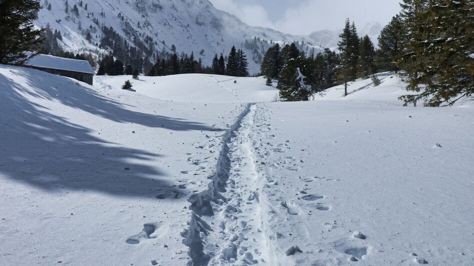 Snowshoe walking Edelrautehütte - marked snowshoe trail in Hohentauern - Touren-Impression #2.10 | © Weges OG
