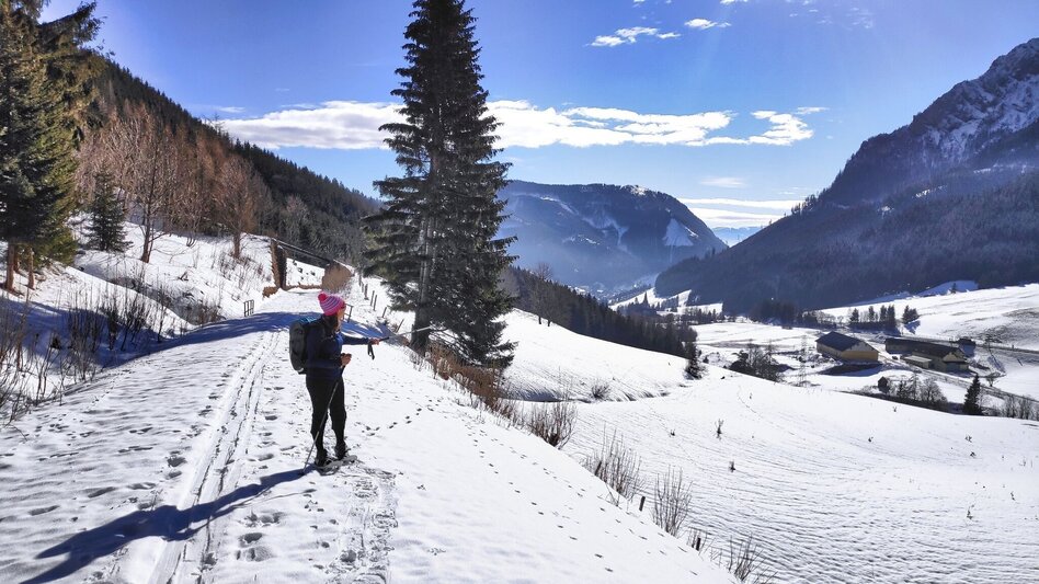 Winterwandern Erzwanderweg - Touren-Impression #2.3 | © Weges OG
