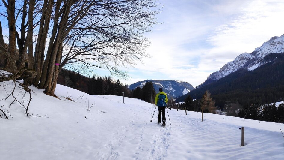 Winterwandern Erzwanderweg - Touren-Impression #2.5 | © Weges OG