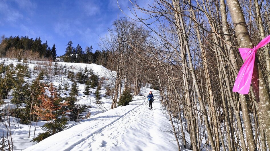 Winterwandern Erzwanderweg - Touren-Impression #2.7 | © Weges OG