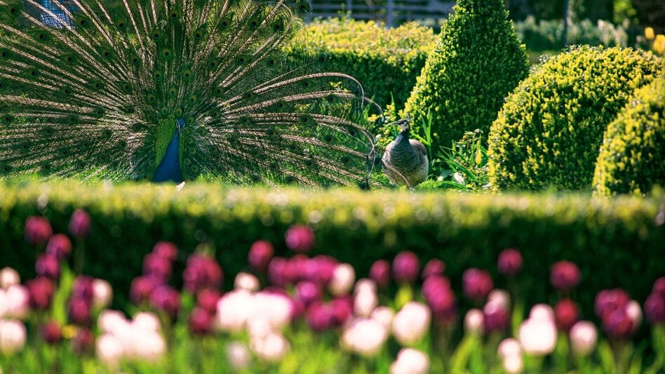 Road Cycling Cycling into history, Hartberg - Touren-Impression #2.4 | © Oststeiermark Tourismus