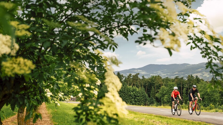 Road Cycling Cycling into history, Hartberg - Touren-Impression #2.2