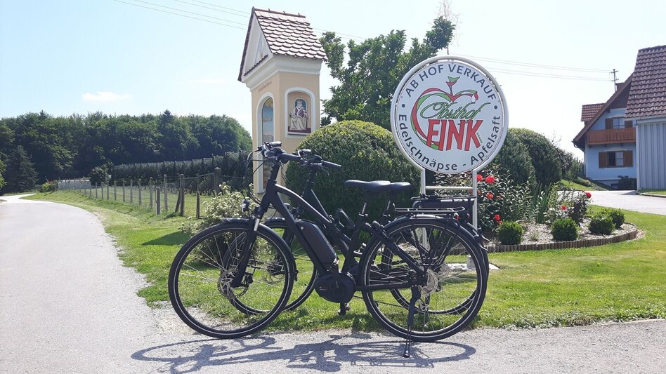 Bike Riding Apple Road Bike Tour in Eastern Styria - Touren-Impression #2.5 | © (c) Günther Steininger