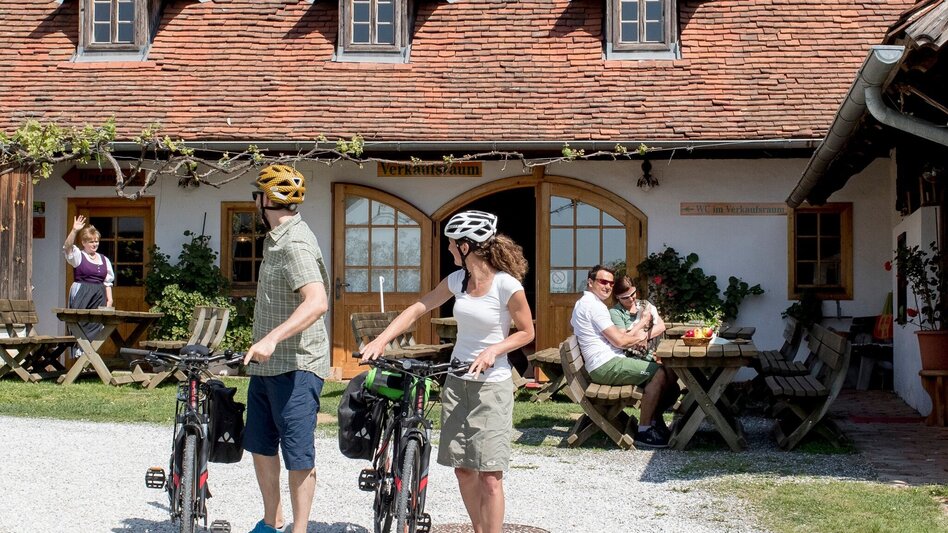 Bike Riding Apple Road Bike Tour in Eastern Styria - Touren-Impression #2.8 | © Oststeiermark Tourismus