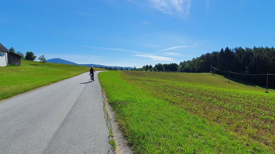Bike Riding Apple Road Bike Tour in Eastern Styria - Touren-Impression #2.12 | © Oststeiermark Tourismus