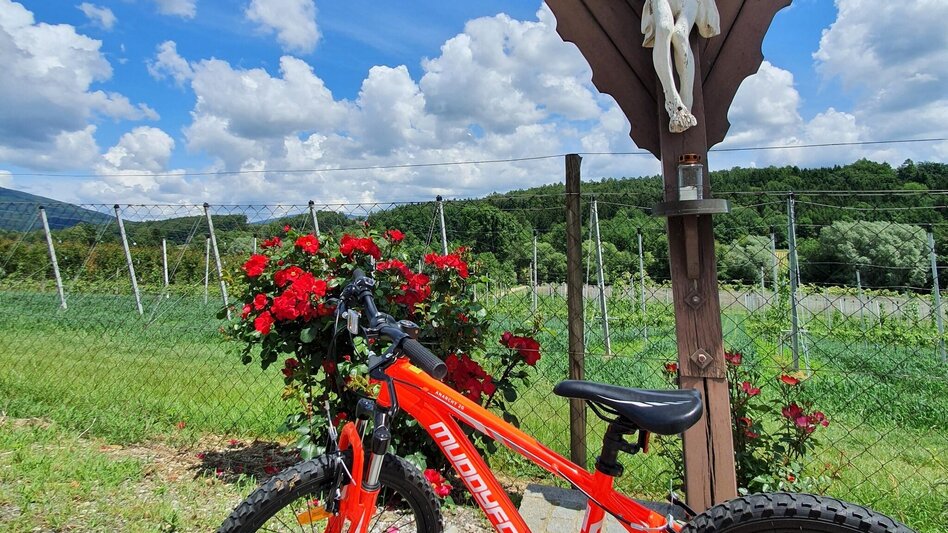 Bike Riding Apple Road Bike Tour in Eastern Styria - Touren-Impression #2.17 | © Oststeiermark Tourismus