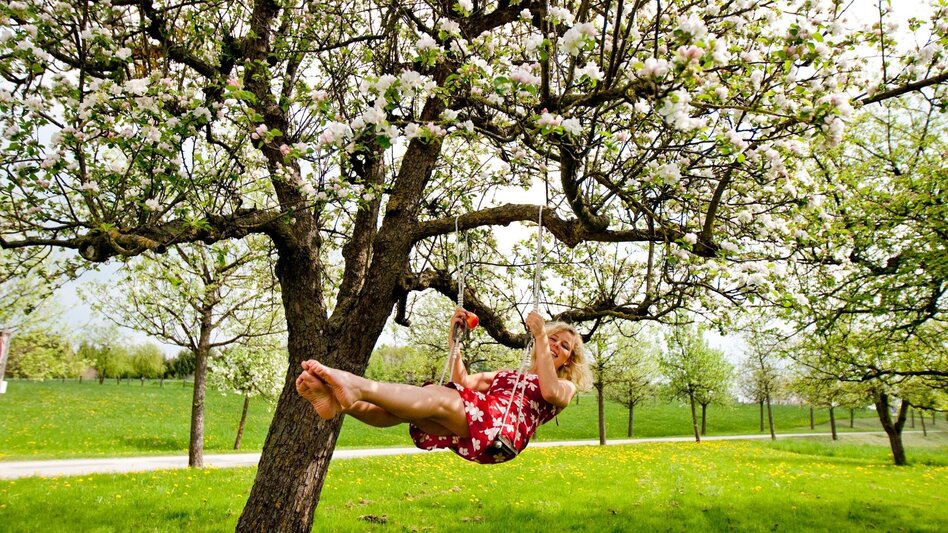 Bike Riding Apple Road Bike Tour in Eastern Styria - Touren-Impression #2.24 | © Oststeiermark Tourismus
