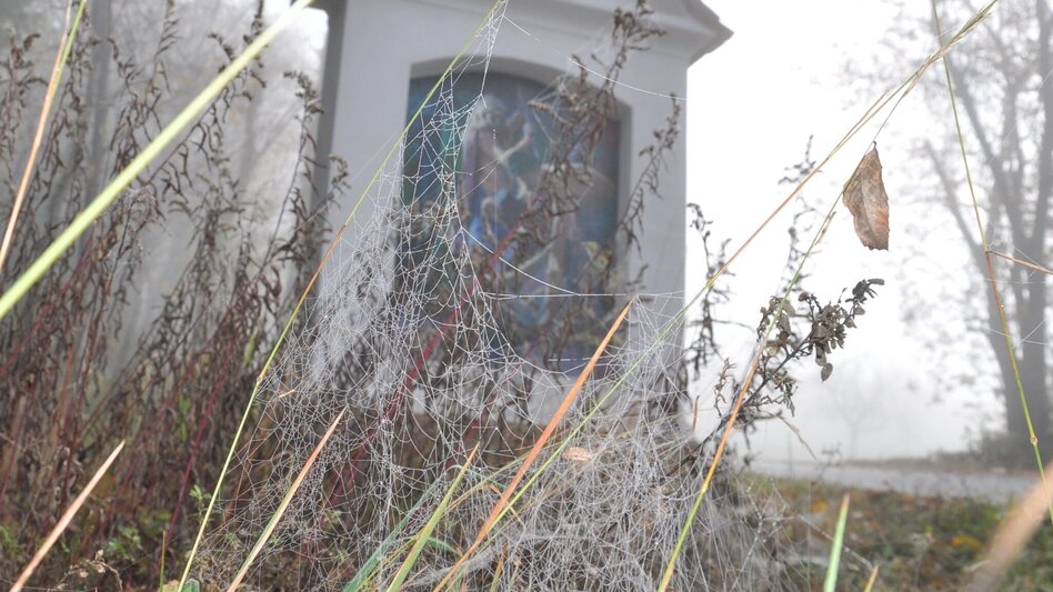 Theme path Way of the Cross - Hike Thannhausen - Touren-Impression #2.3 | © Oststeiermark Tourismus