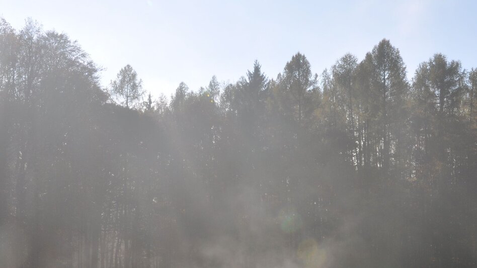 Theme path Way of the Cross - Hike Thannhausen - Touren-Impression #2.6 | © Oststeiermark Tourismus