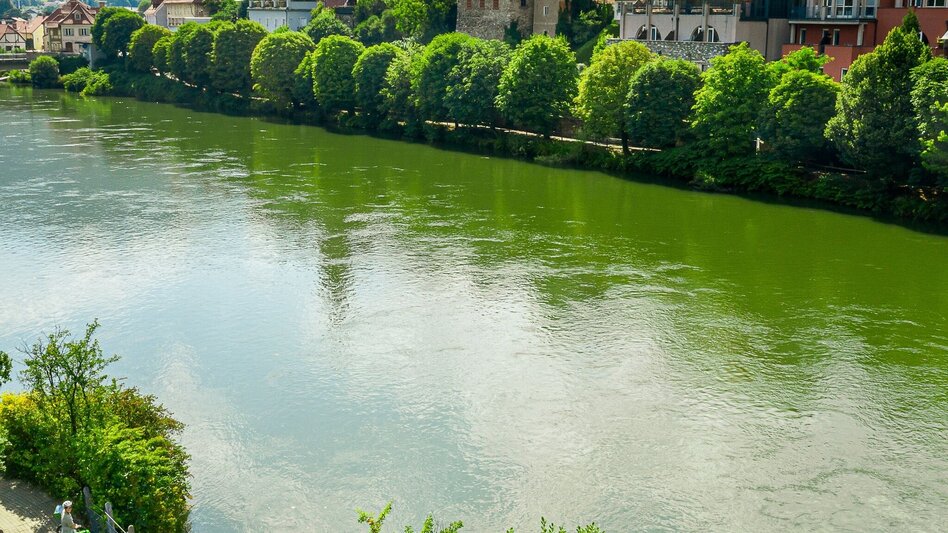 Radfahren Berg und Talfahrt - Touren-Impression #2.1 | © Unbekannt