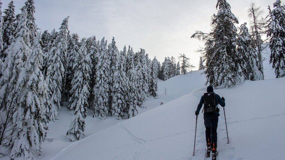 Ski Touring Skitour auf das Große Tragl | Überschreitung mit Geisterwaldabfahrt - Touren-Impression #2.3 | © TVB Ausseerland - Salzkammergut