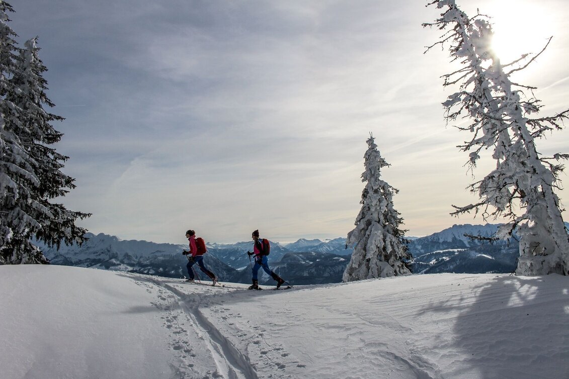 Ski Touring Ski tour on the Scheiblingtragl - Touren-Impression #1 | © Tourismusverband Ausseerland Salzkammergut