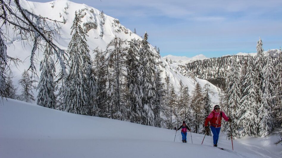 Ski Touring Ski tour on the Scheiblingtragl - Touren-Impression #2.3 | © TVB Ausseerland-Salzkammergut_Berghasen