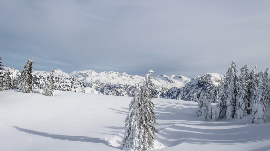 Skitour Skitour auf den Elm - Touren-Impression #2.2 | © TVB Ausseerland - Salzkammergut