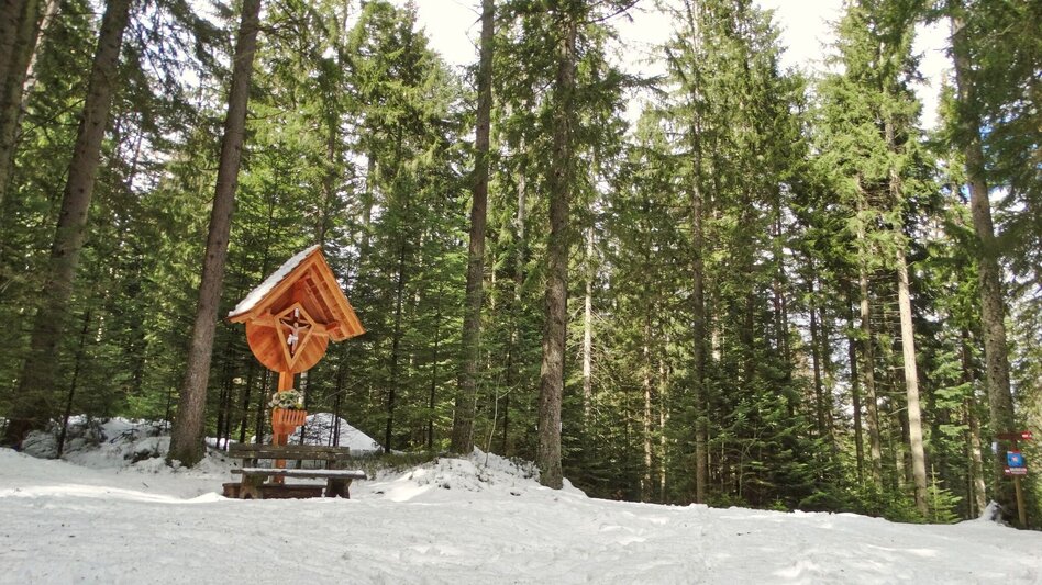 Snowshoe walking Schneeschuhwanderung Reinischkogel - Touren-Impression #2.1 | © Weges OG
