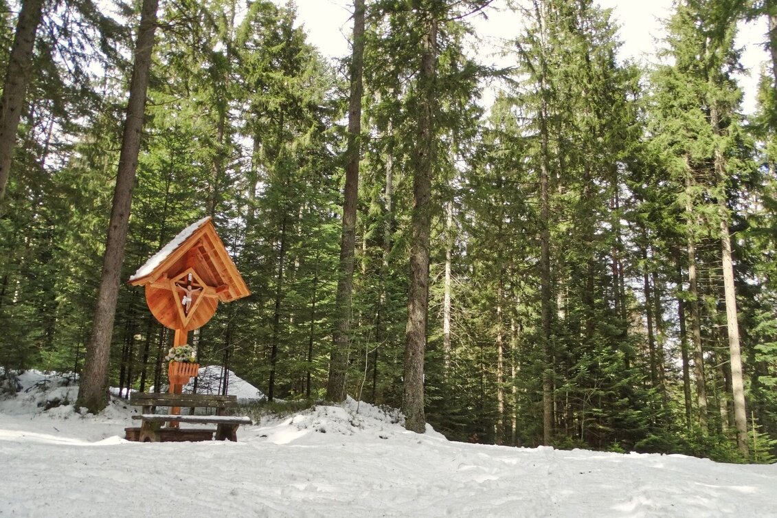 Snowshoe walking Schneeschuhwanderung Reinischkogel - Touren-Impression #1 | © Weges OG