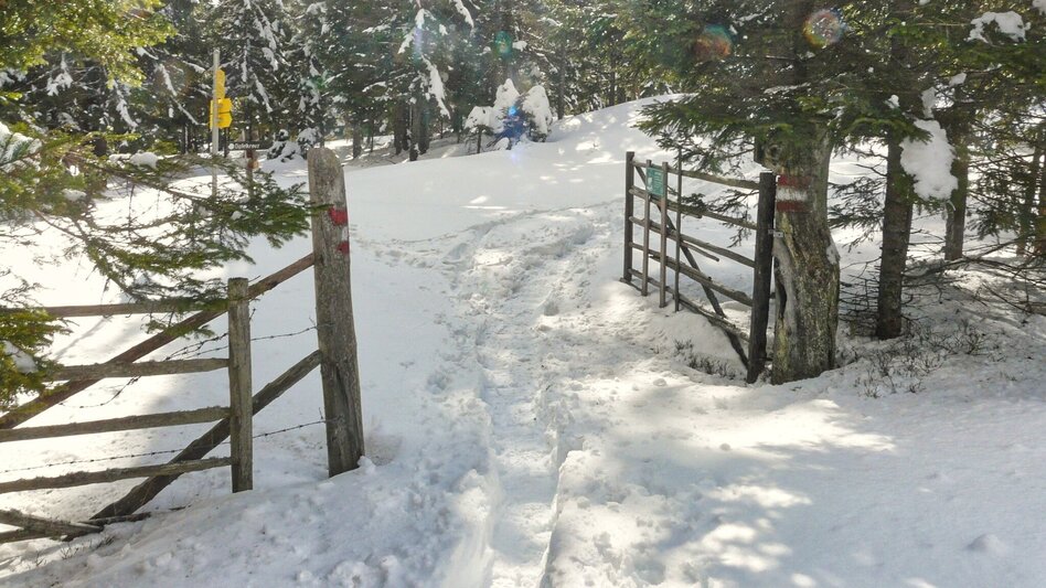 Snowshoe walking Schneeschuhwanderung Reinischkogel - Touren-Impression #2.2 | © Weges OG