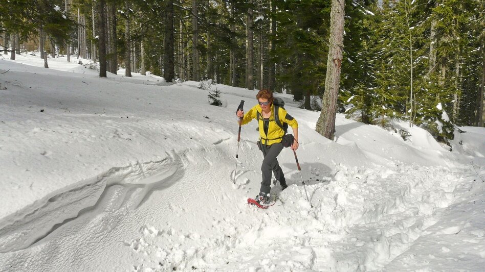 Snowshoe walking Schneeschuhwanderung Reinischkogel - Touren-Impression #2.3 | © Weges OG