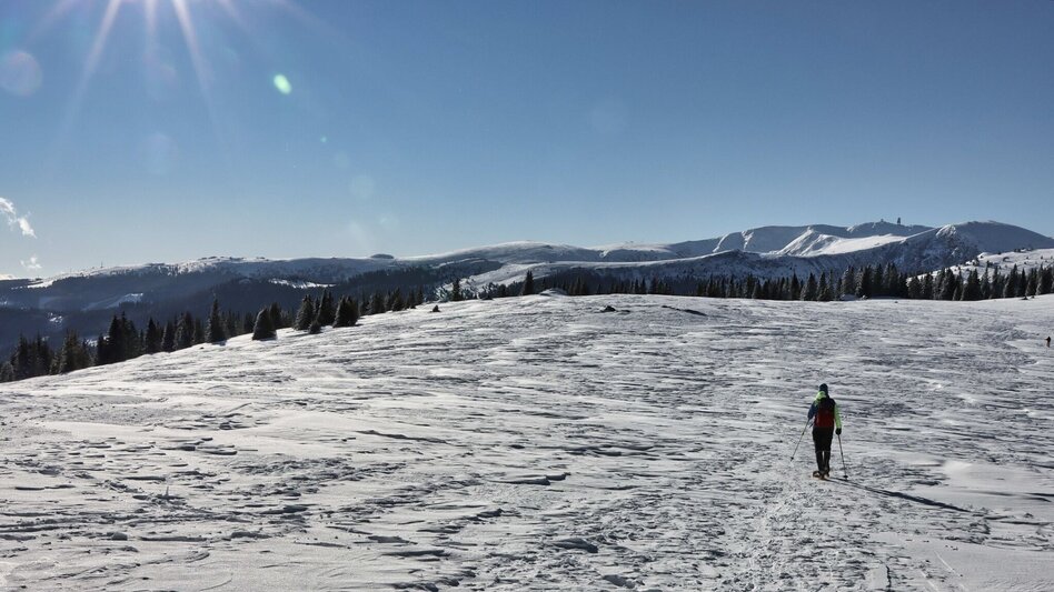 Schneeschuh Schneeschuhwanderung Moschkogel - Touren-Impression #2.3 | © Weges OG