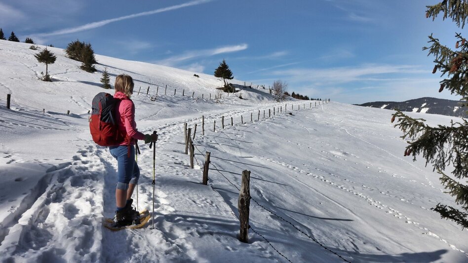 Snowshoe walking Schneeschuhwanderung Dreieckkogel - Touren-Impression #2.2 | © Weges OG