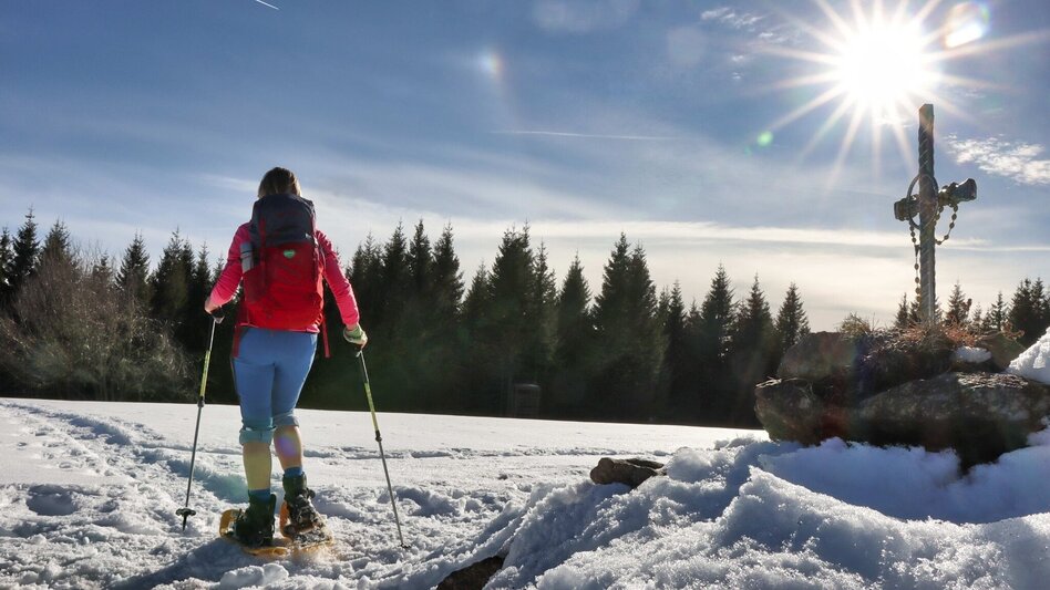 Snowshoe walking Schneeschuhwanderung Dreieckkogel - Touren-Impression #2.1 | © Weges OG